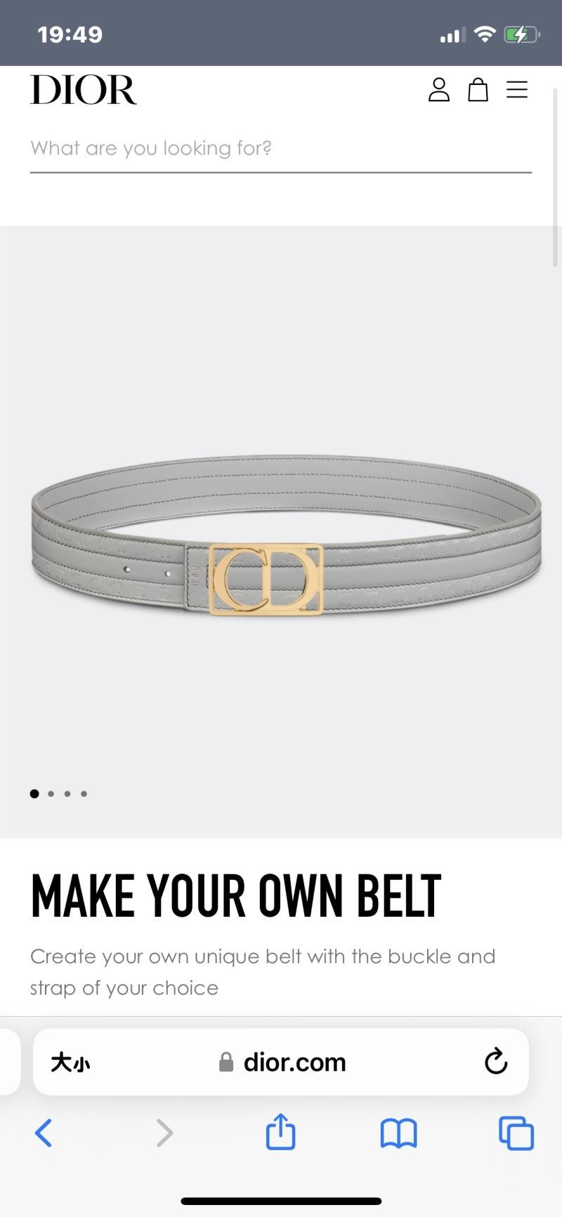 Dior Belts